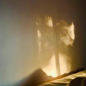 Meet your Posher, Elyssa